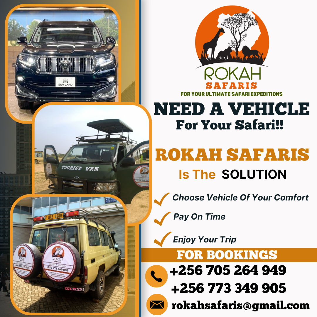 CAR HIRE SERVICES