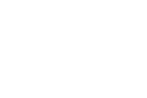 Bushman Safari