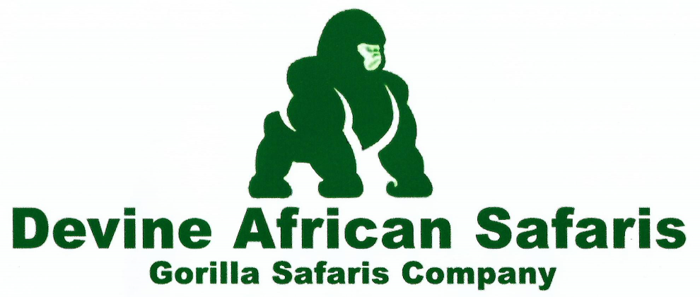 Devine African Safaris Ltd