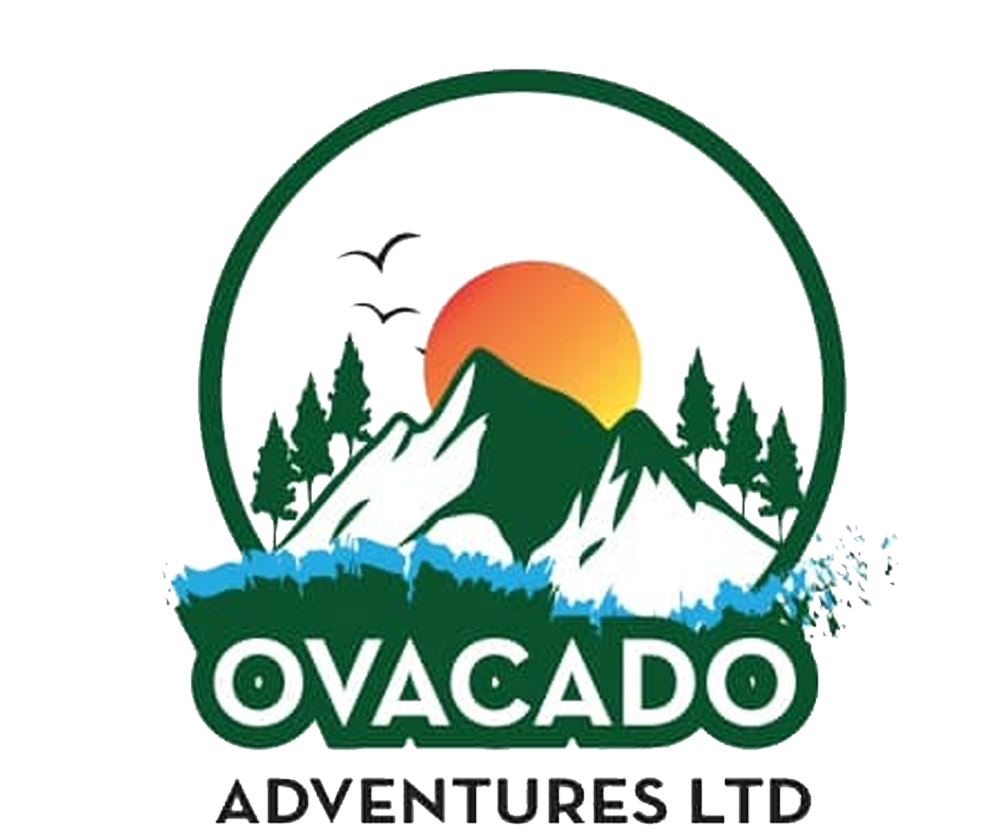 Ovacado Adventures