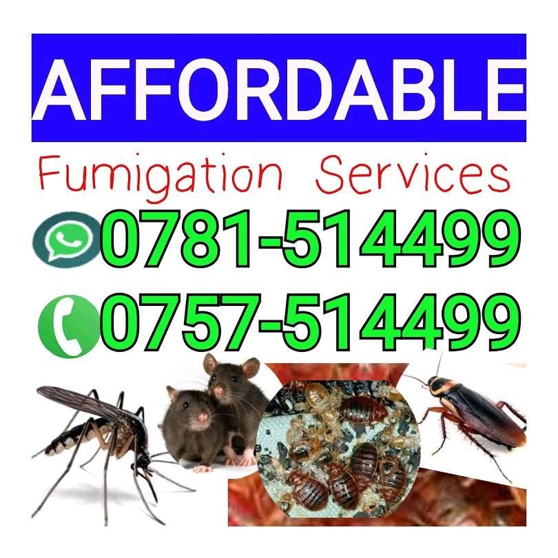 Affordable Fumigation Services - Kampala