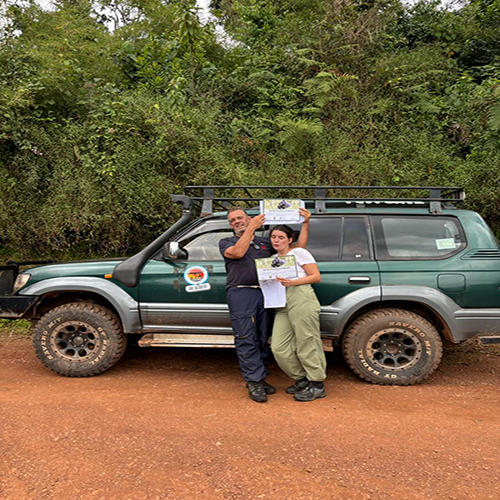 5 days midrange tour to Bwindi impenetrable &queen Elizabeth national park